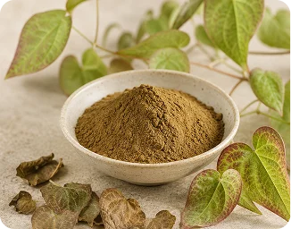 Pine Bark Extract used in the HoneyFil men's vitality formula